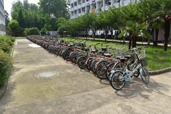 DSC_1068.jpg