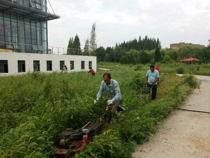 QQ图片20170830091522.jpg