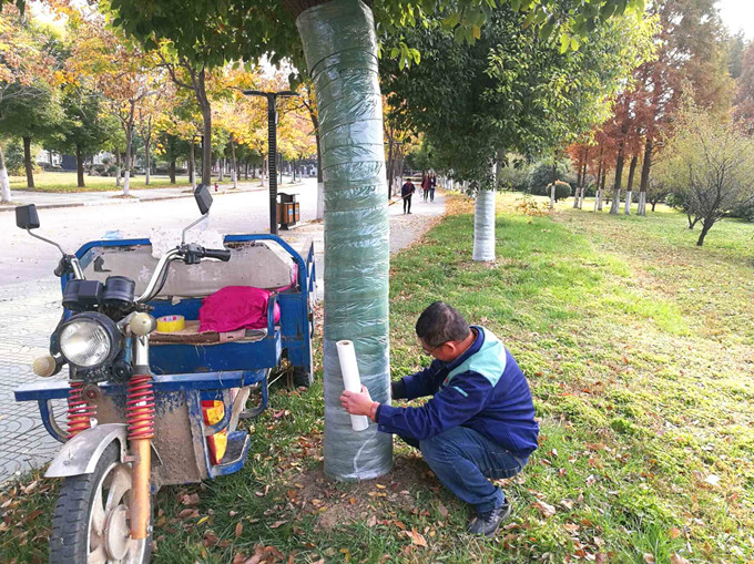 QQ图片20171115144225_副本.jpg