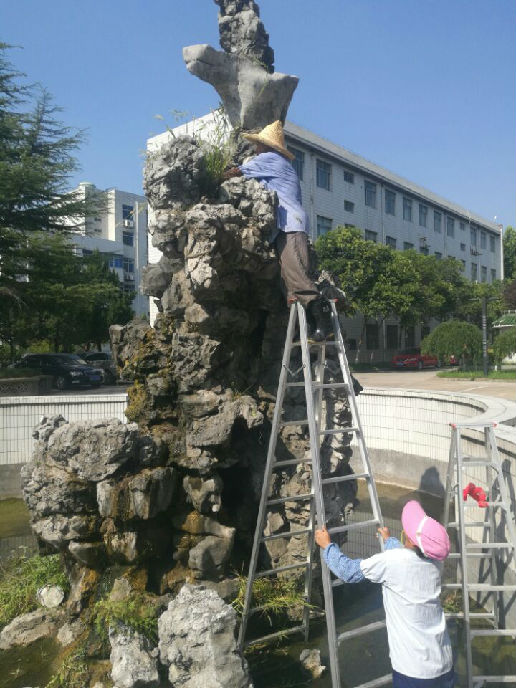 QQ图片20170830091558.jpg