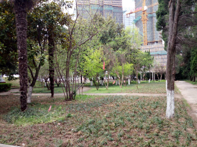QQ图片20170410094244.jpg