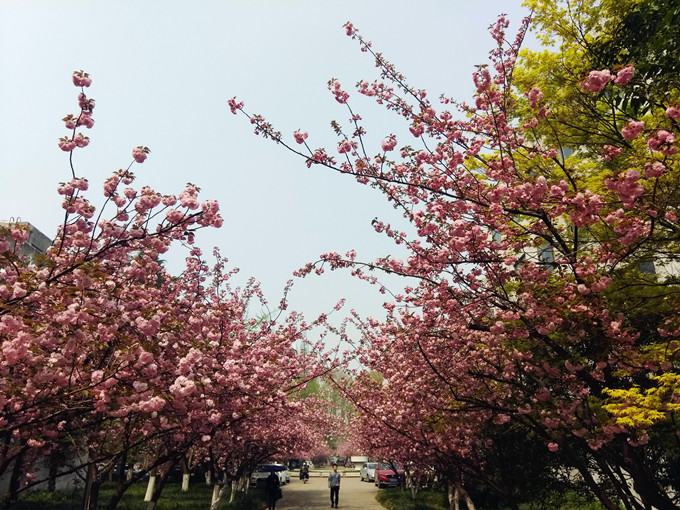 IMG_20180402_104824_副本.jpg