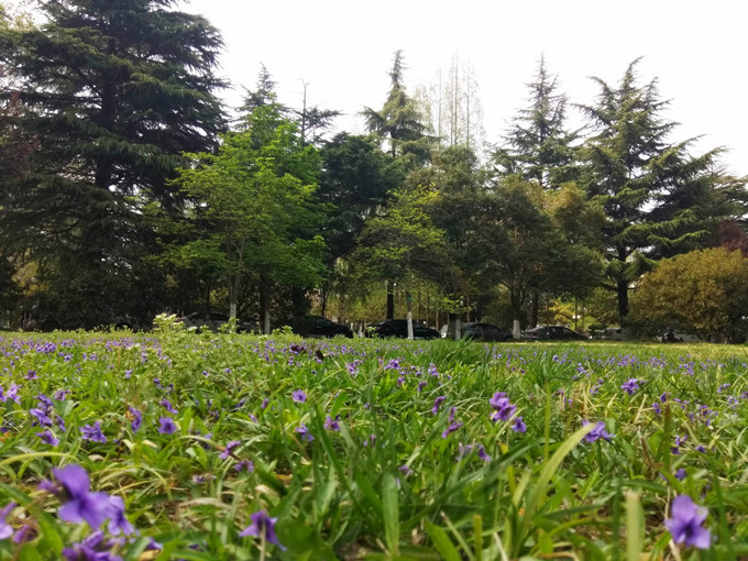 IMG_20180402_144006_副本.jpg