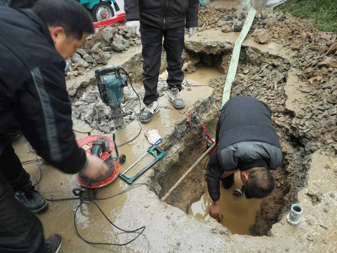 QQ图片20170109112008_副本.jpg