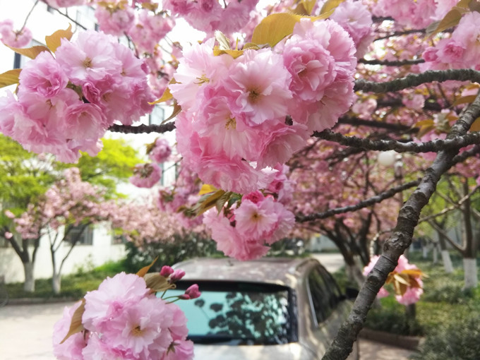 IMG_20180402_105258_副本.jpg